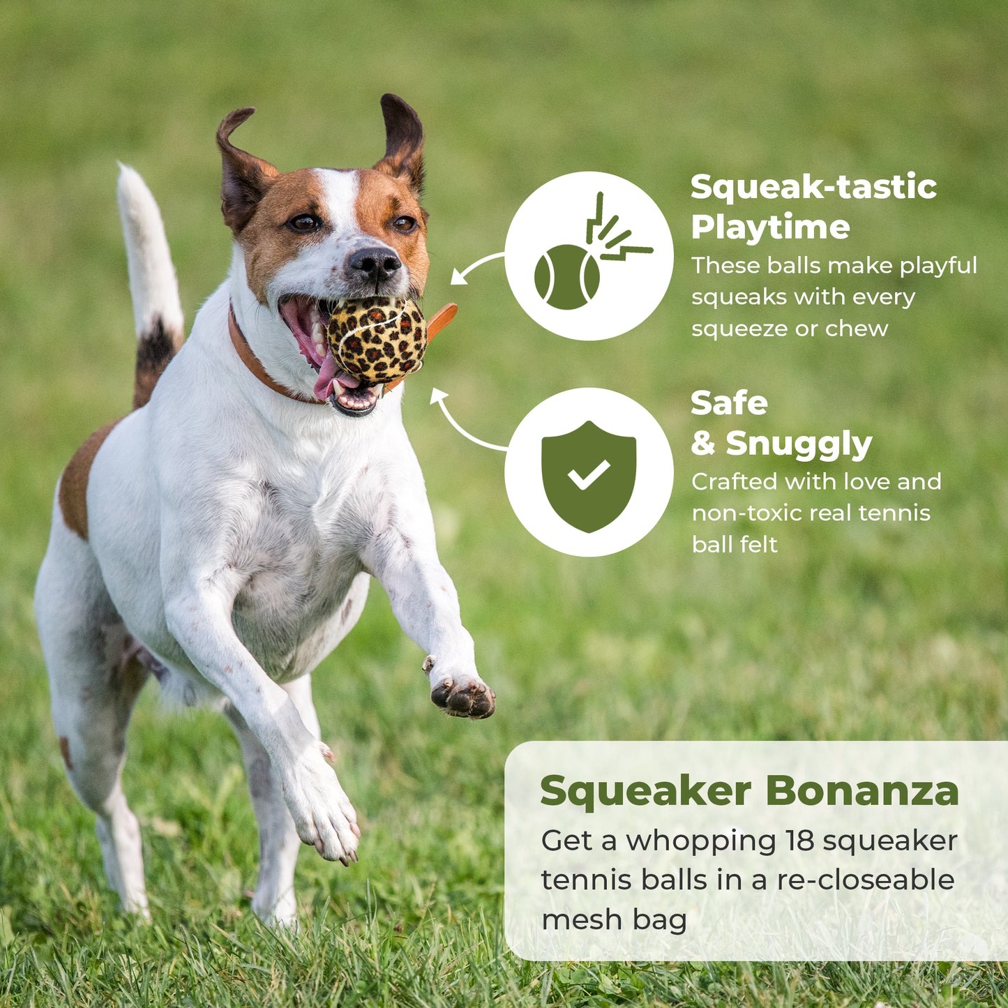 Animal Print Squeaker Dog Balls 18 Pack - Mesh Carry Bag