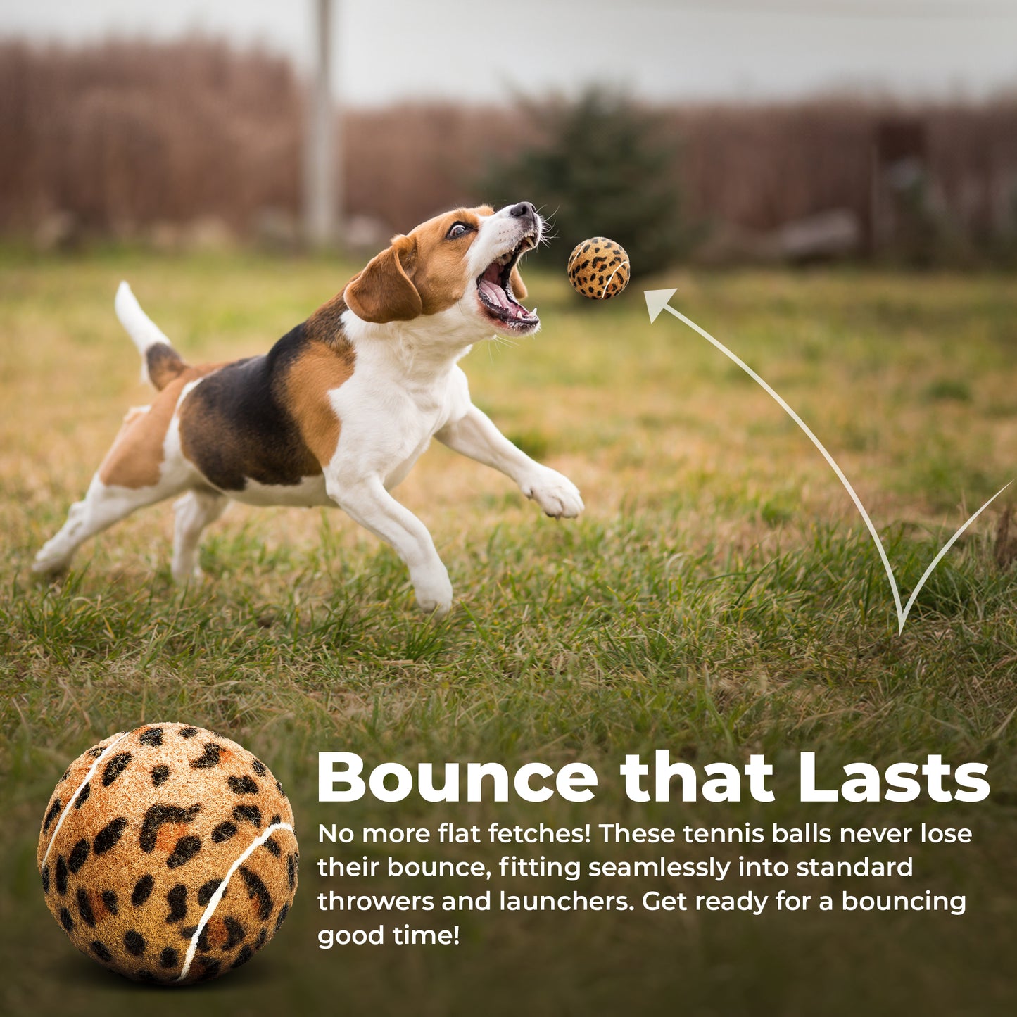 Animal Print Squeaker Dog Balls 18 Pack - Mesh Carry Bag