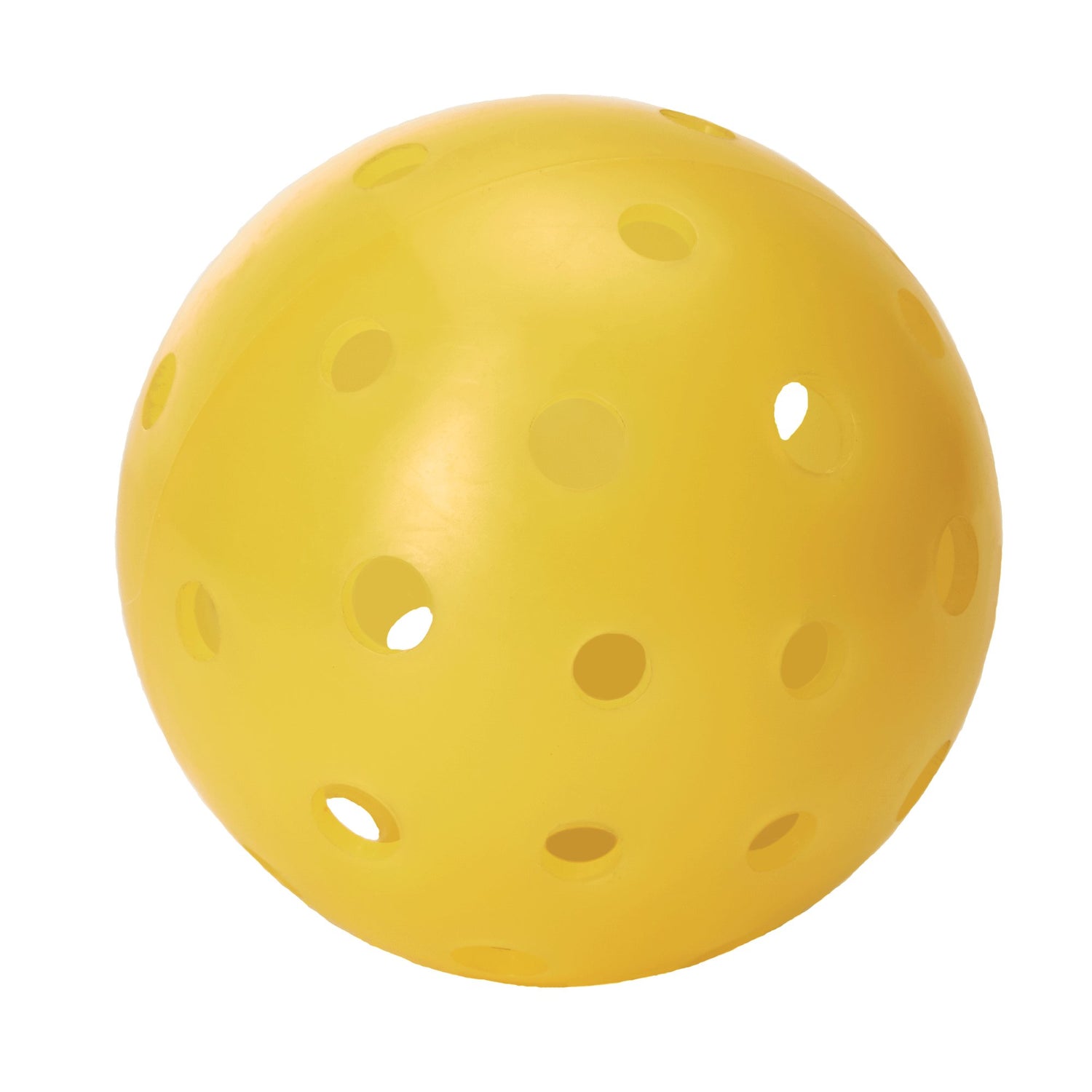 Outdoor Pickleballs